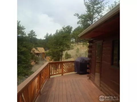 233 Gross Rd, Bailey, CO 80421 photo 3