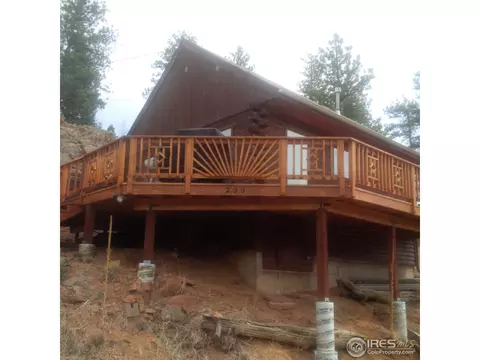 233 Gross Rd, Bailey, CO 80421 photo 2