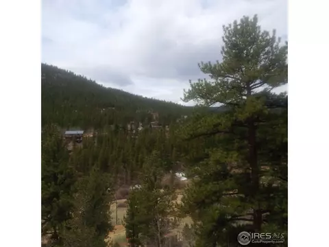 233 Gross Rd, Bailey, CO 80421 photo 6