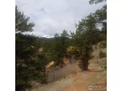 233 Gross Rd, Bailey, CO 80421 photo 8