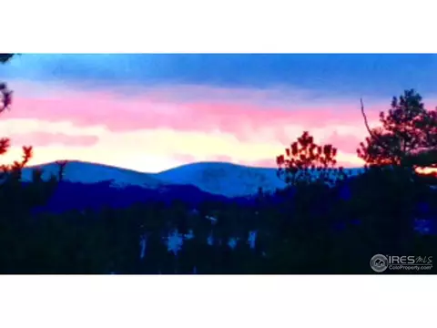 233 Gross Rd, Bailey, CO 80421 photo 5