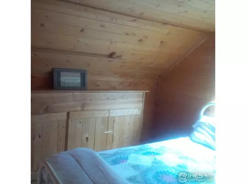 233 Gross Rd, Bailey, CO 80421 photo 21