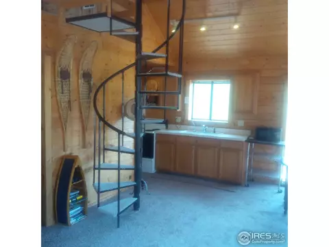 233 Gross Rd, Bailey, CO 80421 photo 17