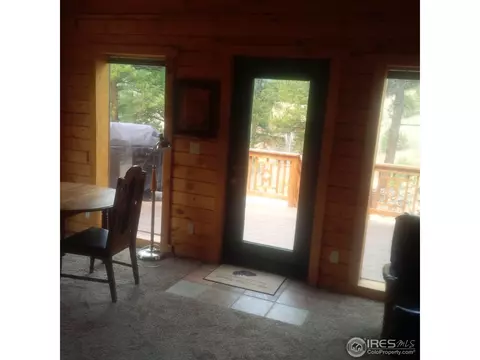 233 Gross Rd, Bailey, CO 80421 photo 13
