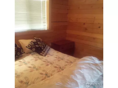 233 Gross Rd, Bailey, CO 80421 photo 18
