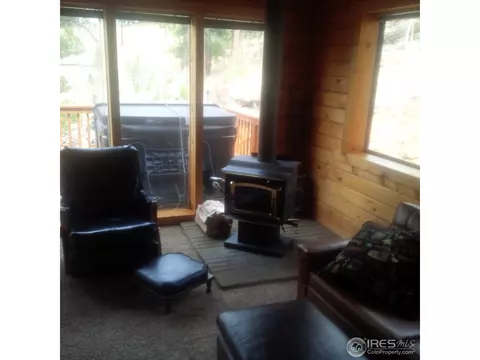 233 Gross Rd, Bailey, CO 80421 photo 12