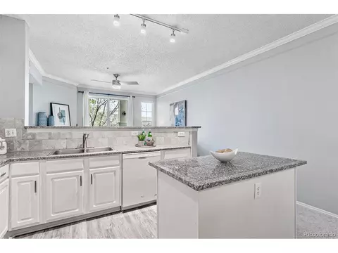 2177 Eagle Ave, Superior, CO 80027 photo 10
