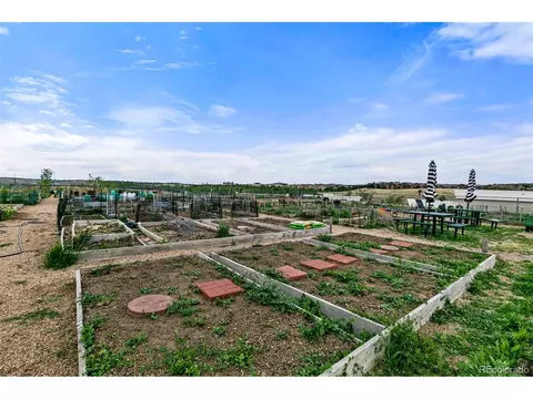 2177 Eagle Ave, Superior, CO 80027 photo 24