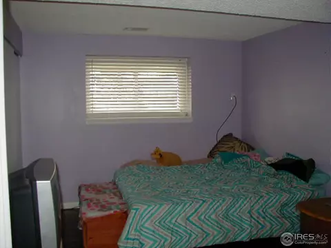 2542 E 96th Way, Thornton, CO 80229 photo 16