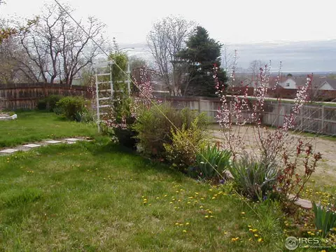 2542 E 96th Way, Thornton, CO 80229 photo 25