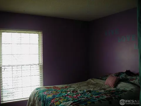 2542 E 96th Way, Thornton, CO 80229 photo 9