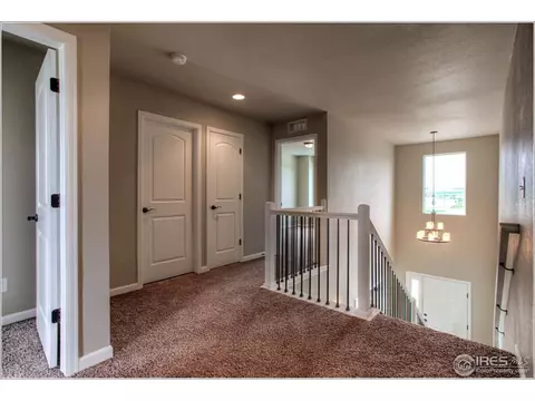 717 Blue Jay Dr, Severance, CO 80550 photo 15