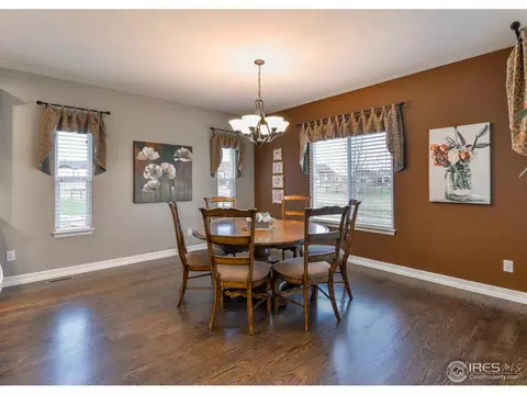 5654 Summerlyn Ct, Windsor, CO 80550 photo 7