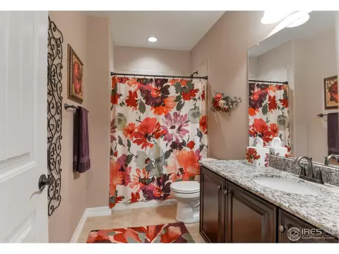 5654 Summerlyn Ct, Windsor, CO 80550 photo 15
