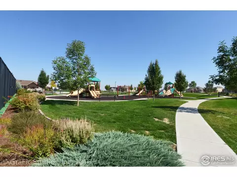 5654 Summerlyn Ct, Windsor, CO 80550 photo 24