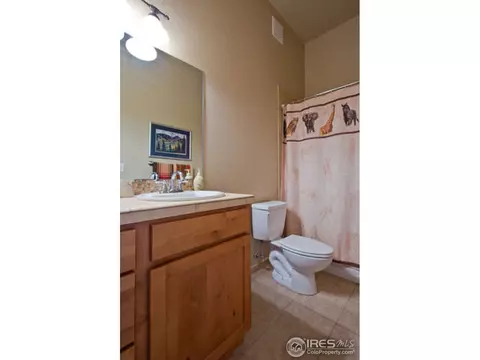 920 Mccall Aly, Lyons, CO 80540 photo 22