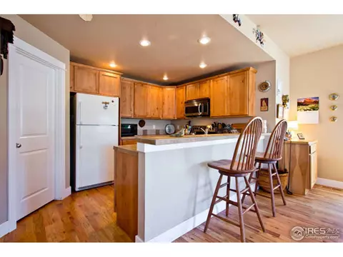 920 Mccall Aly, Lyons, CO 80540 photo 9