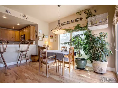 920 Mccall Aly, Lyons, CO 80540 photo 10