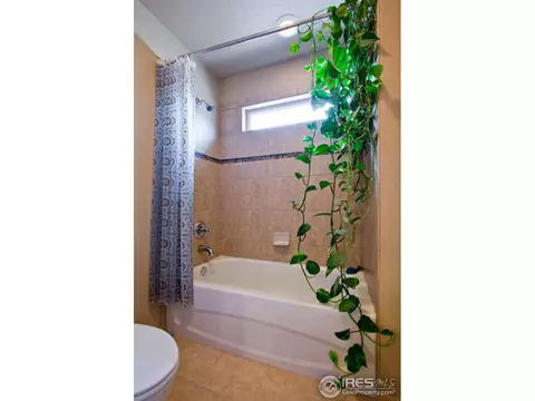 920 Mccall Aly, Lyons, CO 80540 photo 19