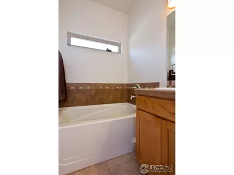 920 Mccall Aly, Lyons, CO 80540 photo 14
