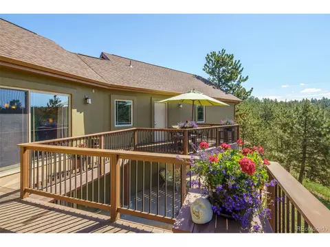 144 Pike View Dr, Divide, CO 80814 photo 36