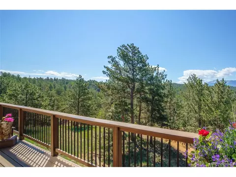 144 Pike View Dr, Divide, CO 80814 photo 13