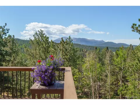 144 Pike View Dr, Divide, CO 80814 photo 24