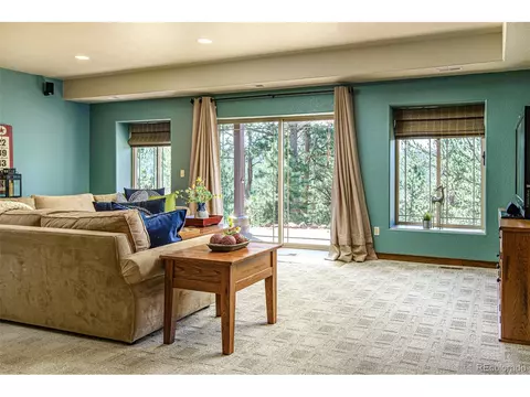 144 Pike View Dr, Divide, CO 80814 photo 27