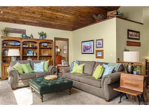 144 Pike View Dr, Divide, CO 80814 photo 12