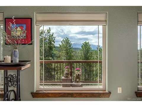 144 Pike View Dr, Divide, CO 80814 photo 33