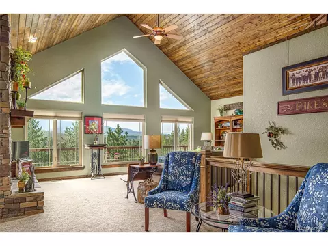 144 Pike View Dr, Divide, CO 80814 photo 10