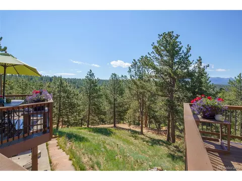 144 Pike View Dr, Divide, CO 80814 photo 38