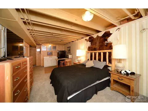 2257 E 145th Pl, Thornton, CO 80602 photo 18