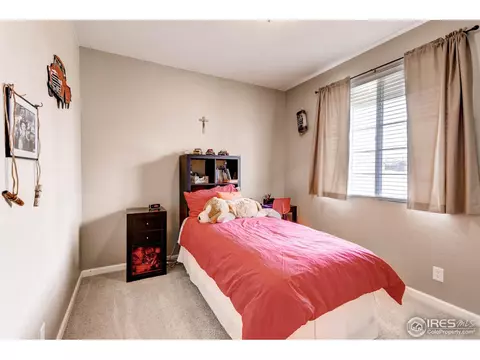 10379 Cherryvale St, Firestone, CO 80504 photo 21