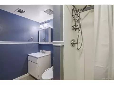 309 4th St, Windsor, CO 80550 photo 11