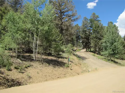 1240 Campfire Rd, Hartsel, CO 80449 photo 3