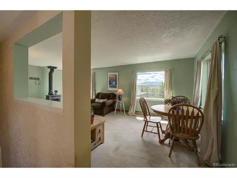 362 Dick Mountain Dr, Bailey, CO 80421 photo 12