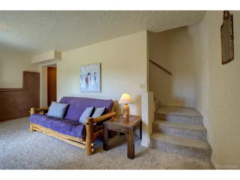 362 Dick Mountain Dr, Bailey, CO 80421 photo 23