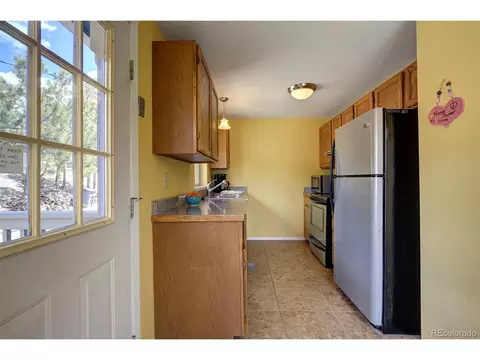362 Dick Mountain Dr, Bailey, CO 80421 photo 7