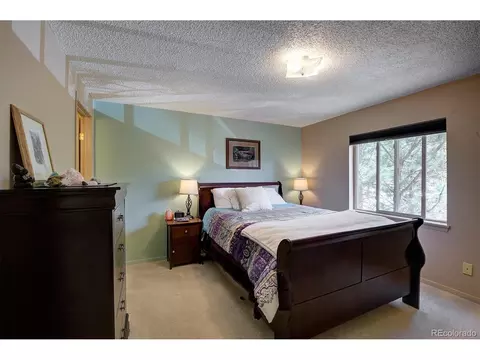 362 Dick Mountain Dr, Bailey, CO 80421 photo 19