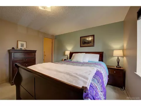 362 Dick Mountain Dr, Bailey, CO 80421 photo 18
