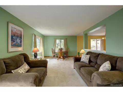 362 Dick Mountain Dr, Bailey, CO 80421 photo 11
