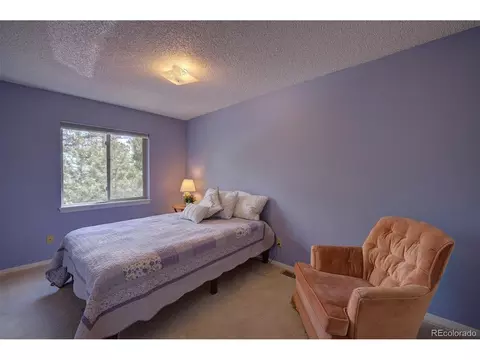 362 Dick Mountain Dr, Bailey, CO 80421 photo 16