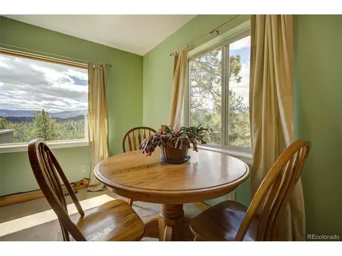 362 Dick Mountain Dr, Bailey, CO 80421 photo 10