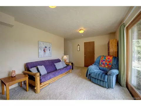 362 Dick Mountain Dr, Bailey, CO 80421 photo 24