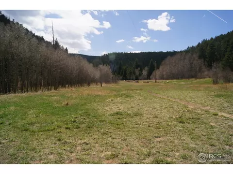 1256 Riverside Dr, Lyons, CO 80540 photo 4