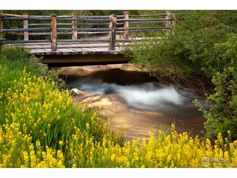 1256 Riverside Dr, Lyons, CO 80540 photo 12
