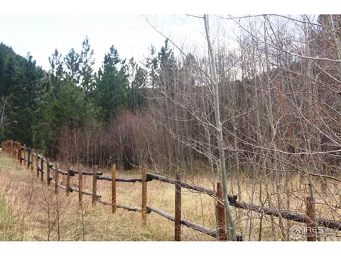 1256 Riverside Dr, Lyons, CO 80540 photo 9