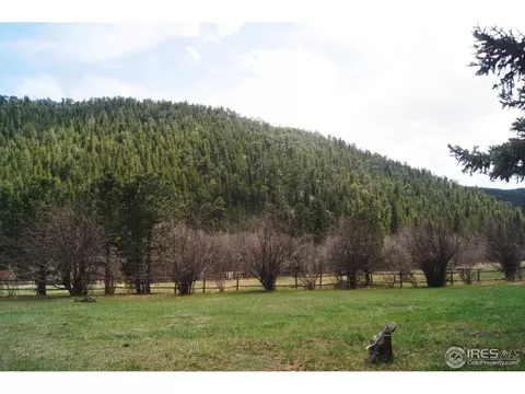 1256 Riverside Dr, Lyons, CO 80540 photo 2
