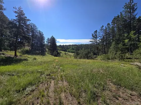 5273 Cedar Mountain Rd, Divide, CO 80814 photo 6